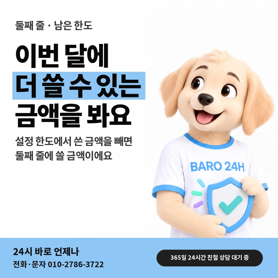 BARO 24H 티셔츠를 입은 3D 동물 캐릭터 옆에 「핸드폰 남은 한도 보기」 제목을 얹은 안내 카드